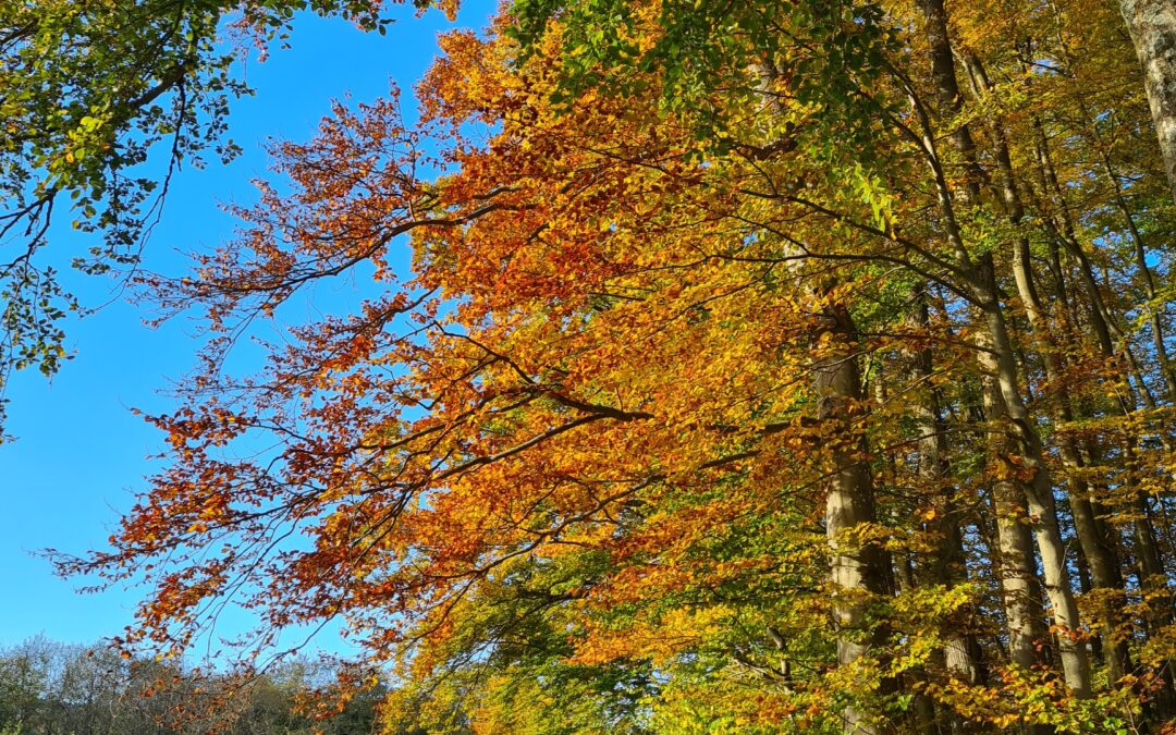 Wochenenden im Herbst