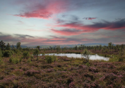 Moorauge in der Dämmerung